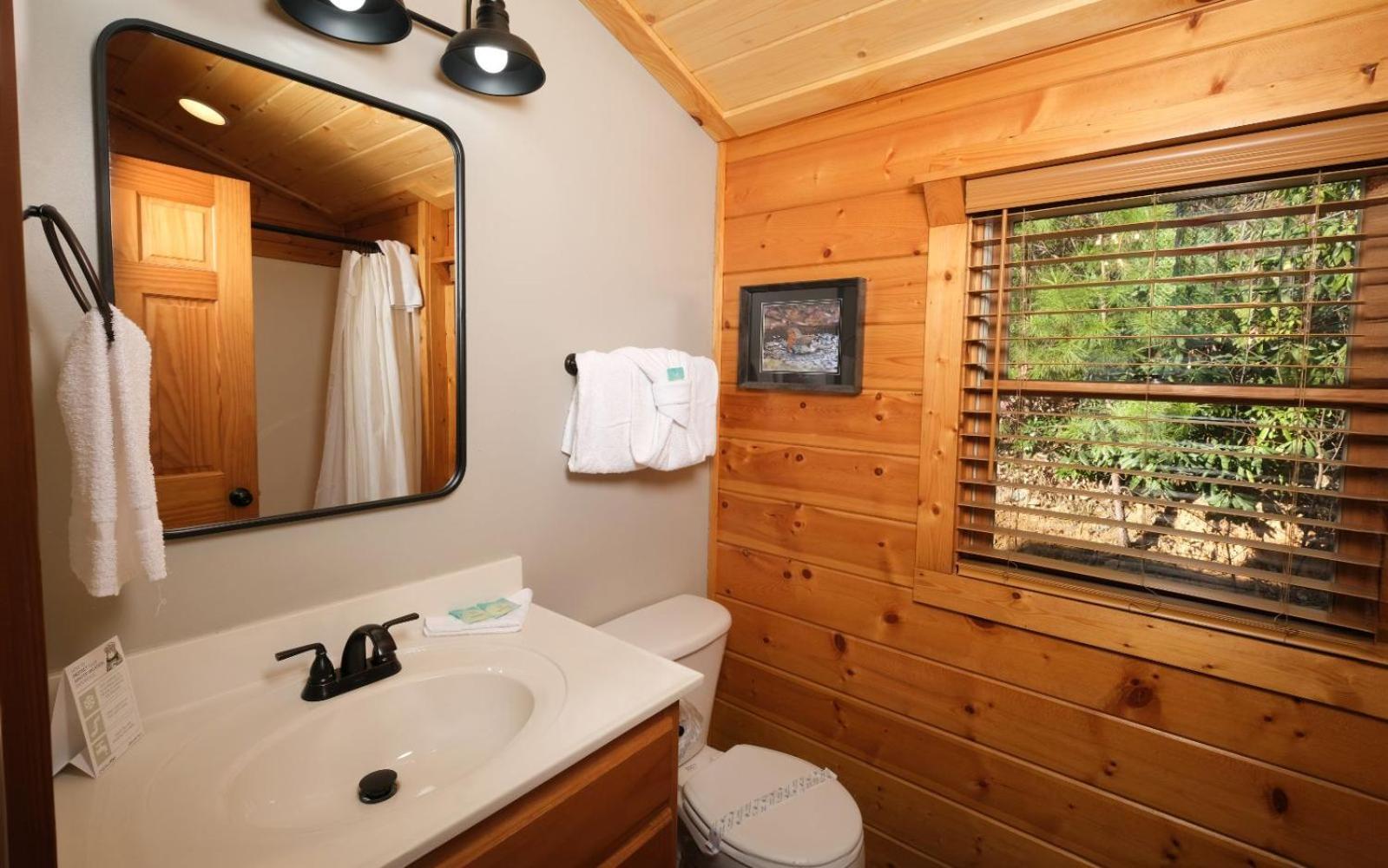 The Song Bird Villa Gatlinburg Dış mekan fotoğraf